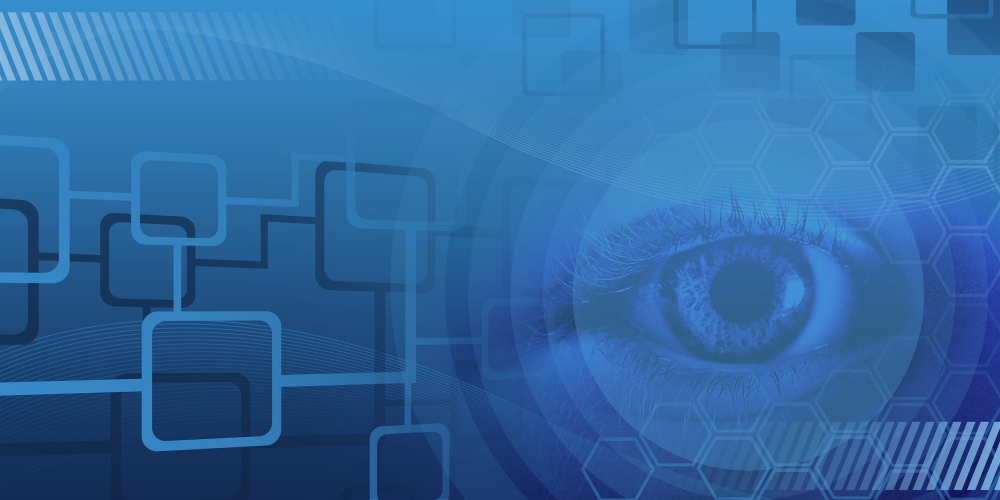 Bionic Lens